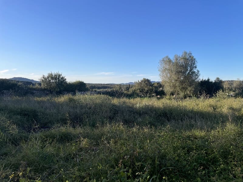 4 bedroom Finca/Country House for sale in Manacor with garage - € 1,300,000 (Ref: 9755030)