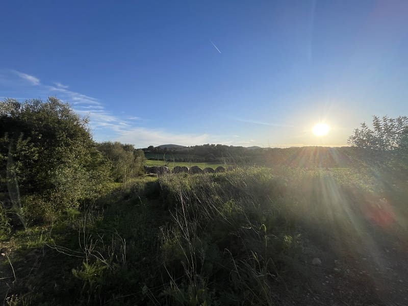 4 bedroom Finca/Country House for sale in Manacor with garage - € 1,300,000 (Ref: 9755030)
