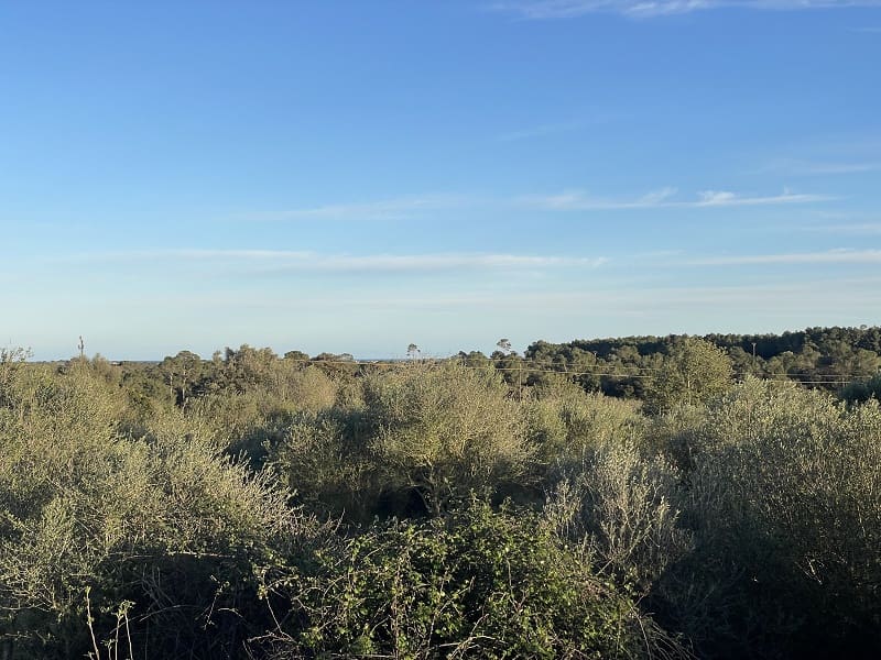 4 bedroom Finca/Country House for sale in Manacor with garage - € 1,300,000 (Ref: 9755030)