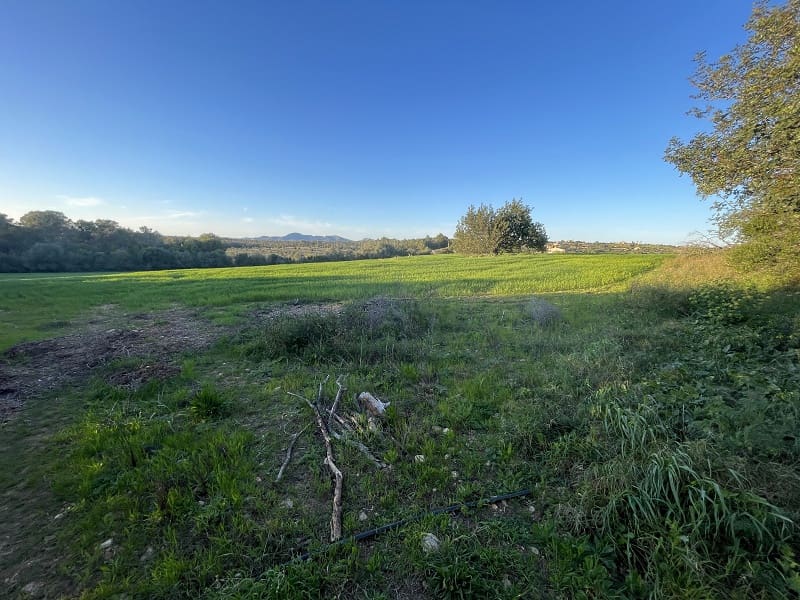 4 bedroom Finca/Country House for sale in Manacor with garage - € 1,300,000 (Ref: 9755030)