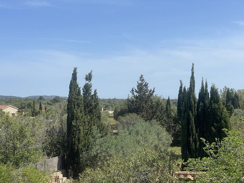 Finca/Casa Rural de 2 habitaciones en Llucmajor en venta - 639.000 € (Ref: 9813517)