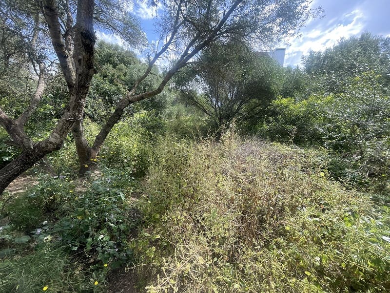 Building Plot for sale in Llucmajor - € 250,000 (Ref: 9837701)
