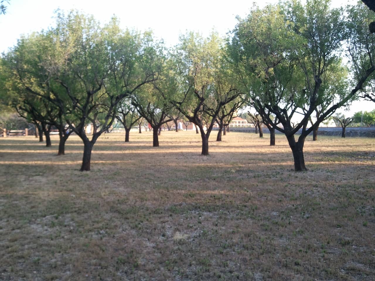 4 soveværelse Villa til salg i La Sella med swimmingpool - € 1.650.000 (Ref: 7296952)