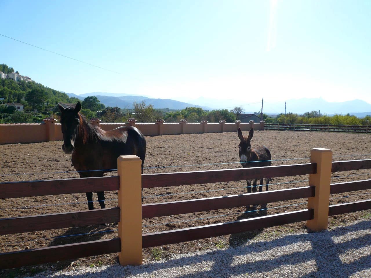 4 soveværelse Villa til salg i La Sella med swimmingpool - € 1.650.000 (Ref: 7296952)