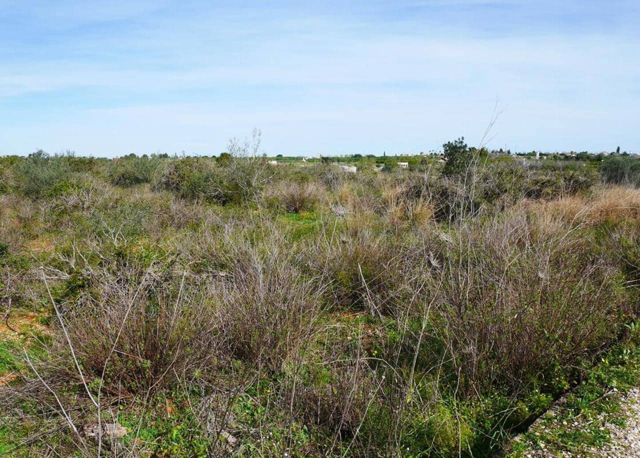 Byggegrund til salg i La Sella - € 119.000 (Ref: 9050708)