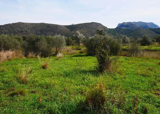 Byggegrund til salg i La Sella - € 119.000 (Ref: 9050708)