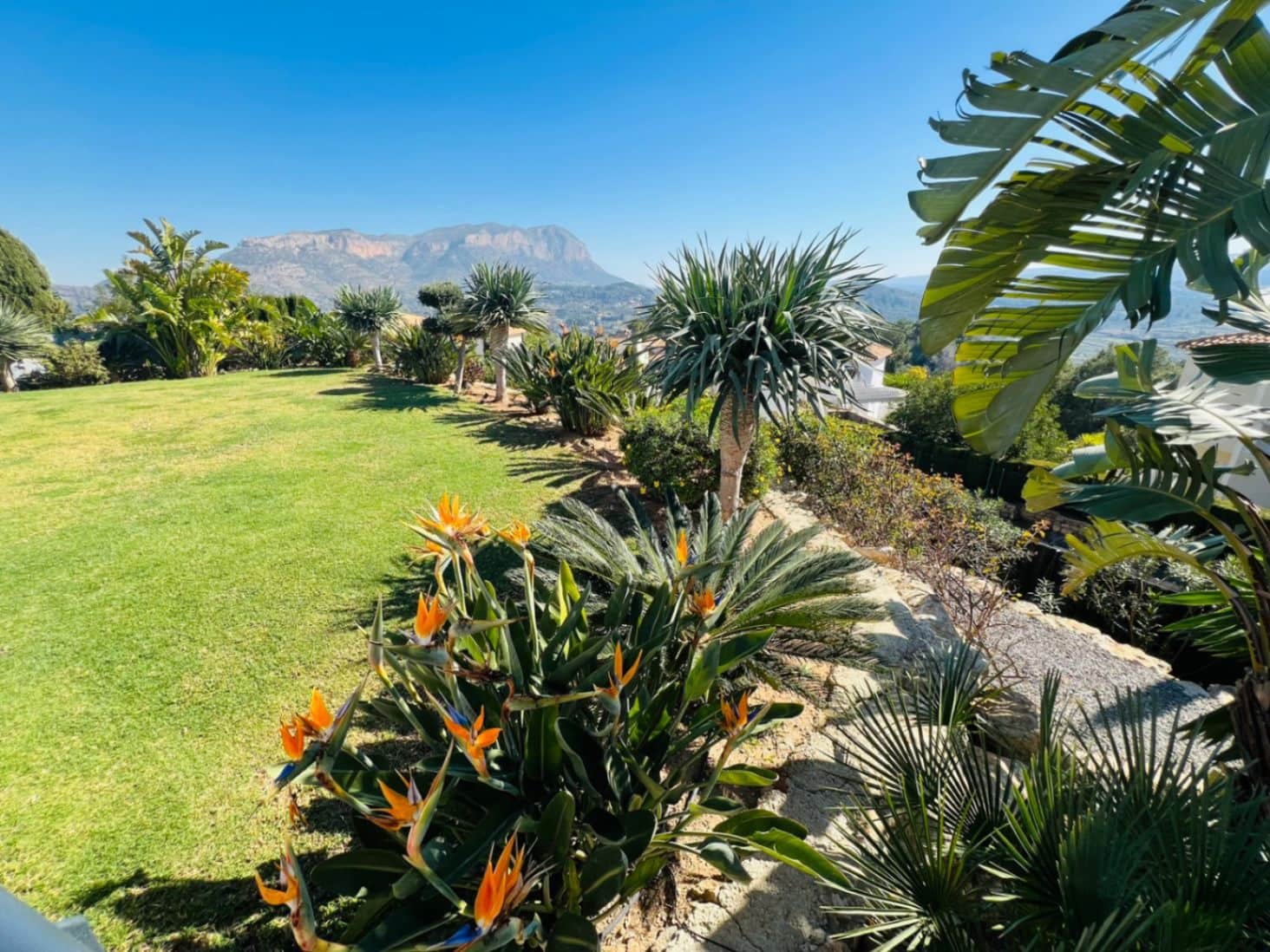 3 Zimmer Villa zu verkaufen in La Sella mit Pool - 1.195.000 € (Ref: 9640580)