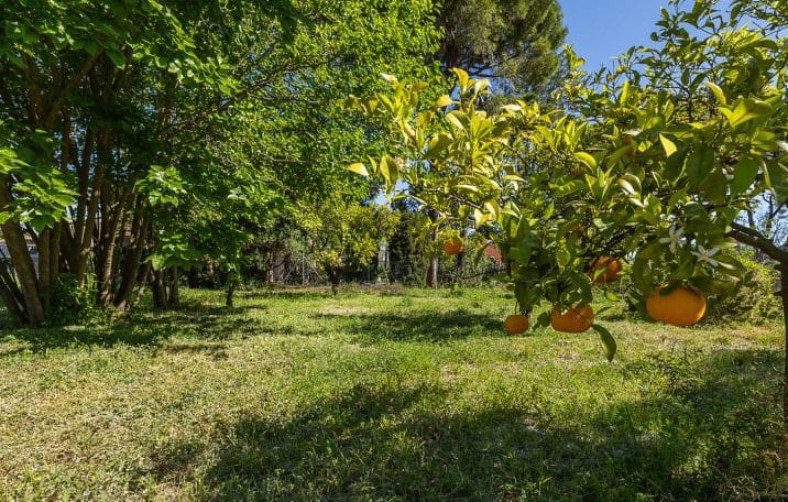 5 bedroom Finca/Country House for rent in Pedreguer with pool garage - € 3,500 (Ref: 9973812)