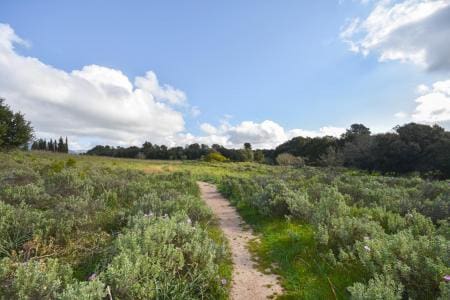 4 bedroom Finca/Country House for sale in Galilea - € 875,000 (Ref: 9743084)