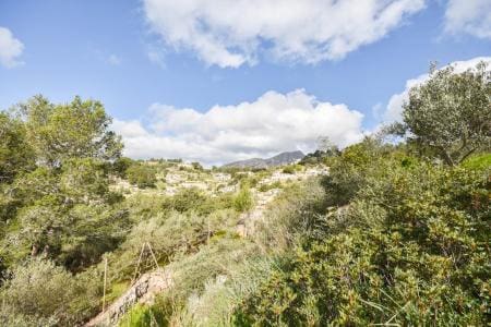 4 bedroom Finca/Country House for sale in Galilea - € 875,000 (Ref: 9743084)