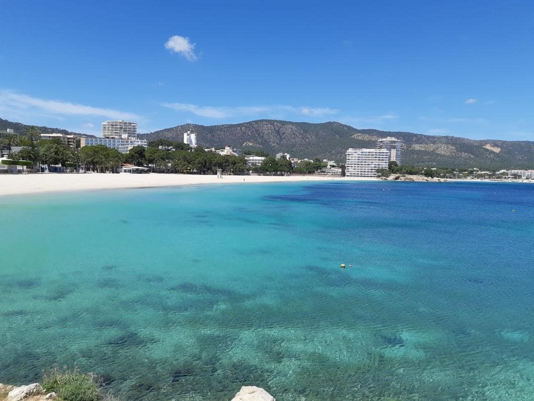 2 bedroom Apartment for sale in Palmanova with pool - € 349,000 (Ref: 9753576)