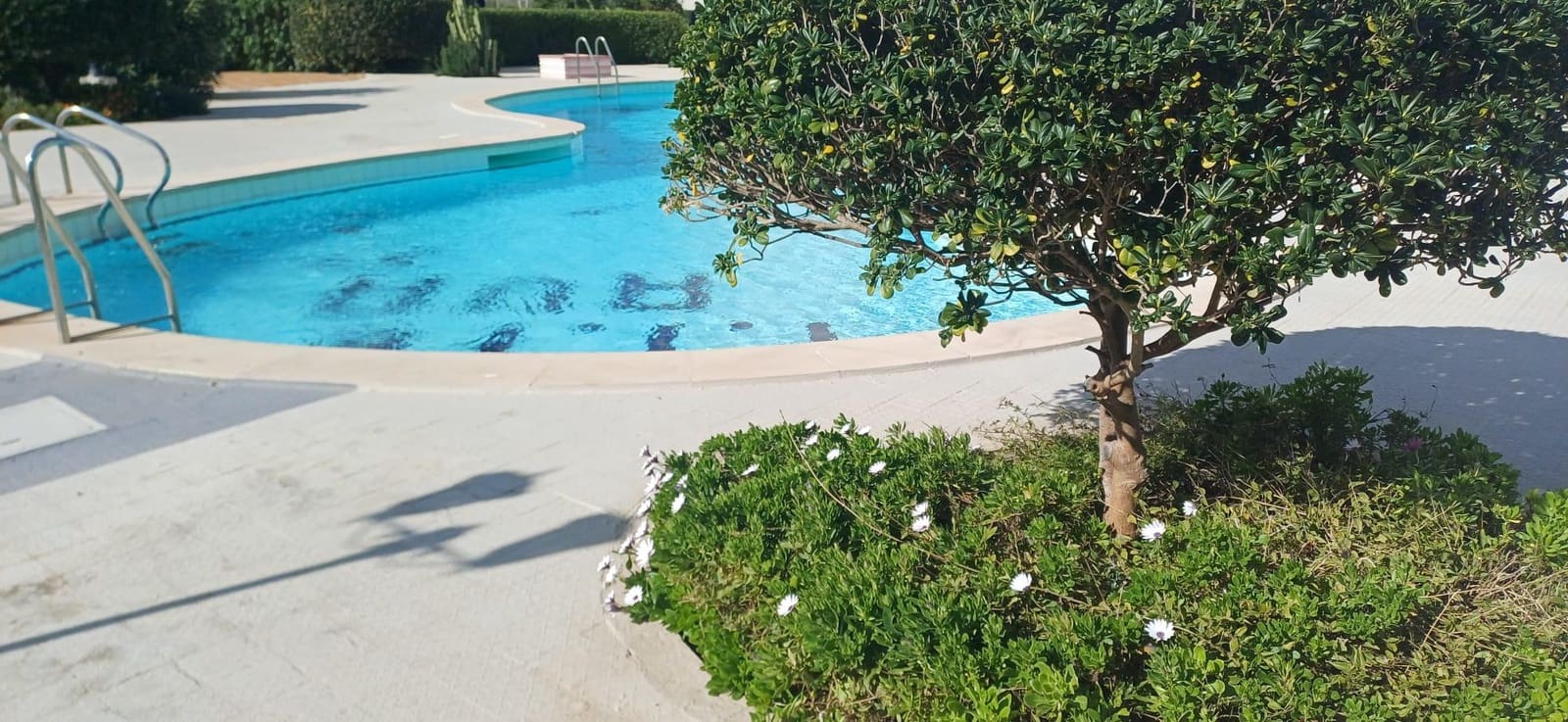 2 bedroom Apartment for sale in Palmanova with pool - € 325,000 (Ref: 9753576)