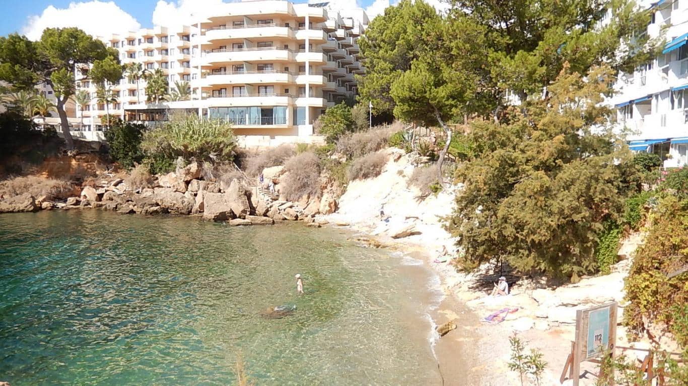 1 Zimmer Apartment zu verkaufen in Santa Ponsa mit Pool Garage - 325.000 € (Ref: 9911527)