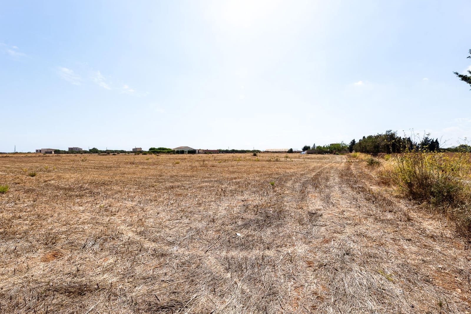 Commercial for sale in Muro - € 480,000 (Ref: 10013337)