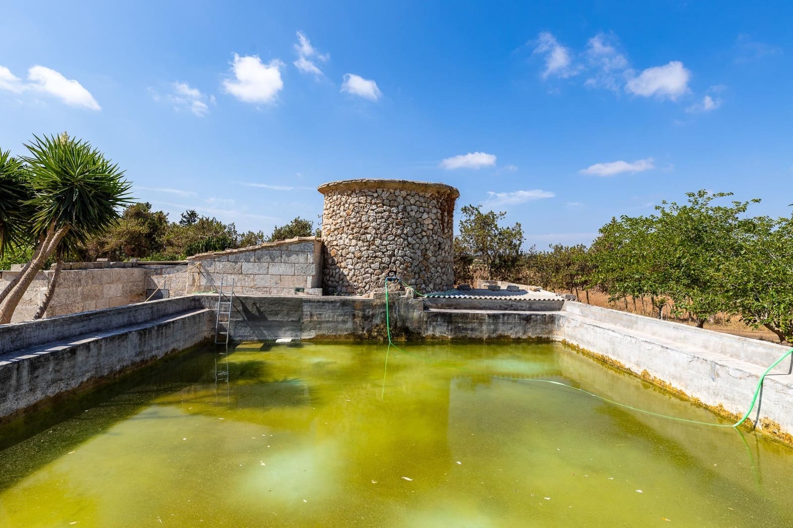 Commercial for sale in Muro - € 480,000 (Ref: 10013337)