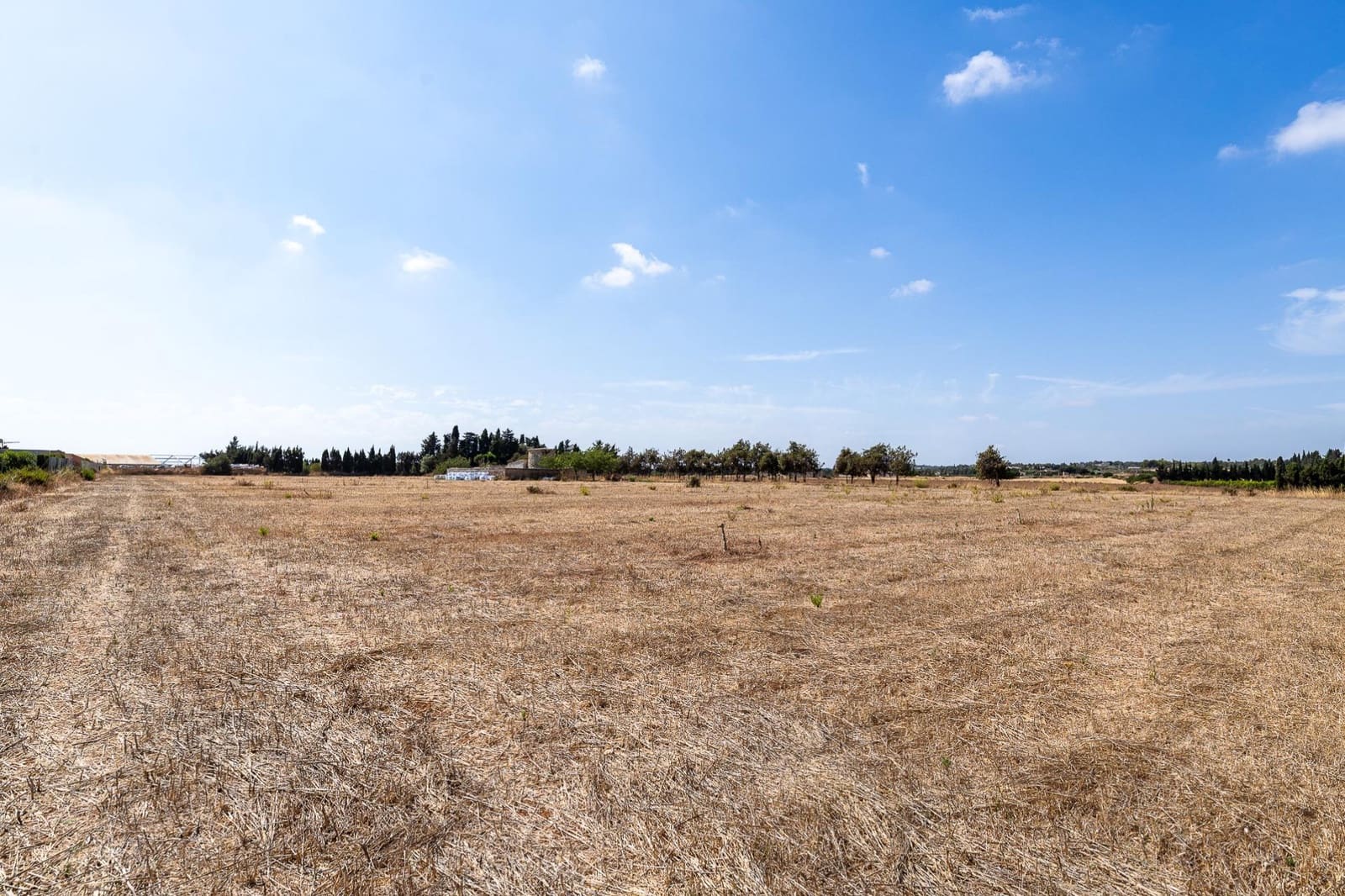 Commercial for sale in Muro - € 480,000 (Ref: 10013337)