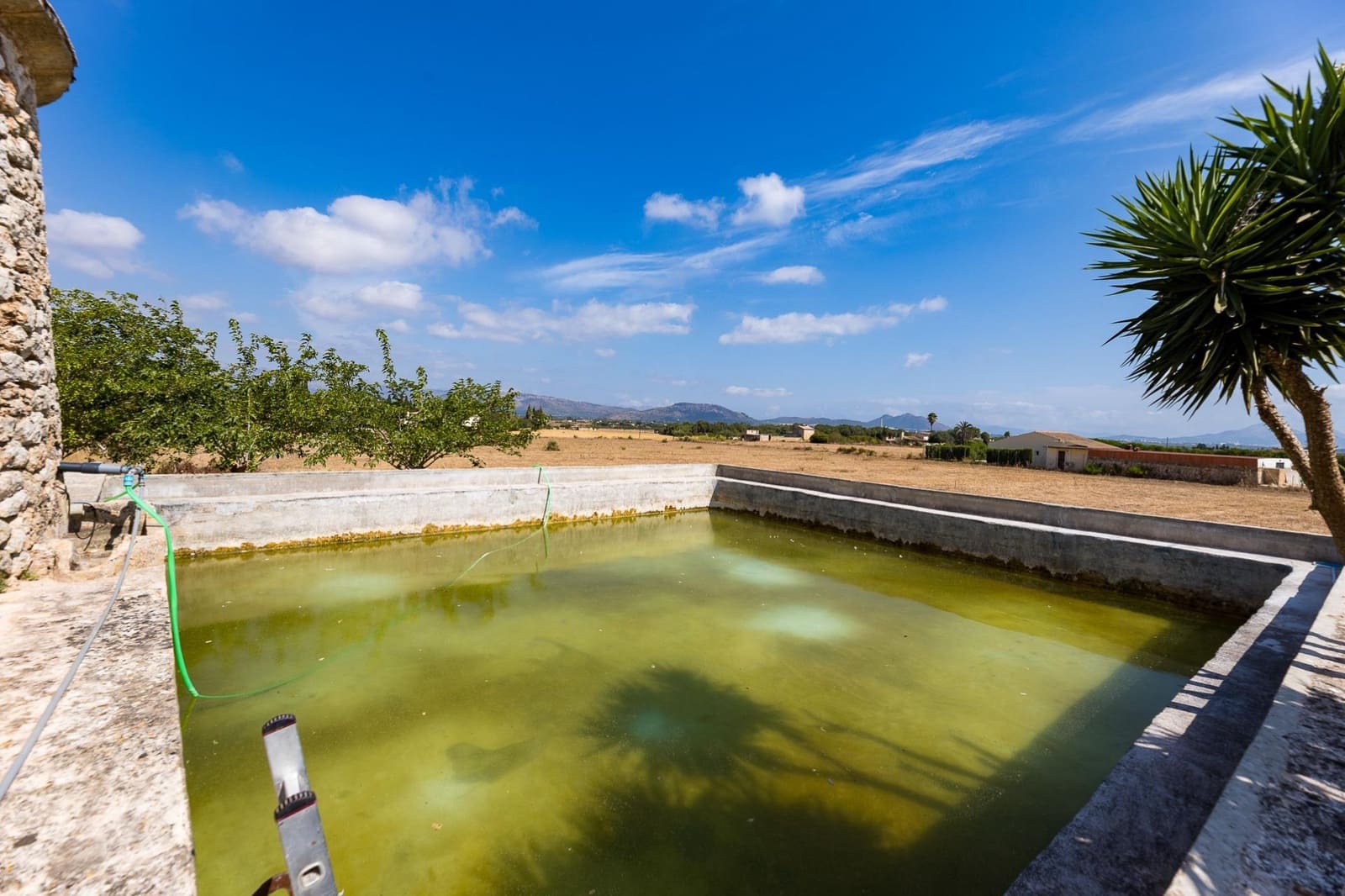 Commercial for sale in Muro - € 480,000 (Ref: 10013337)