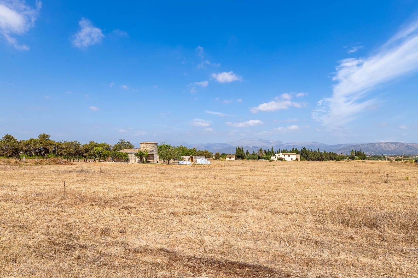 Commercial for sale in Muro - € 480,000 (Ref: 10013337)