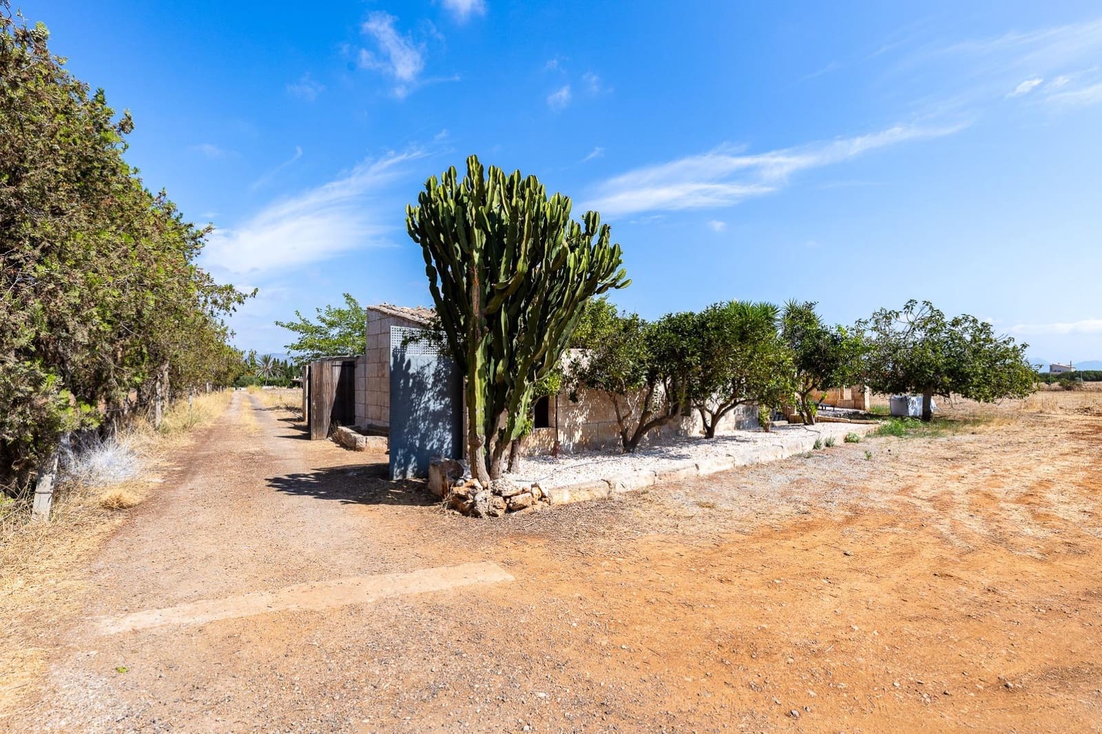 Commercial for sale in Muro - € 480,000 (Ref: 10013337)
