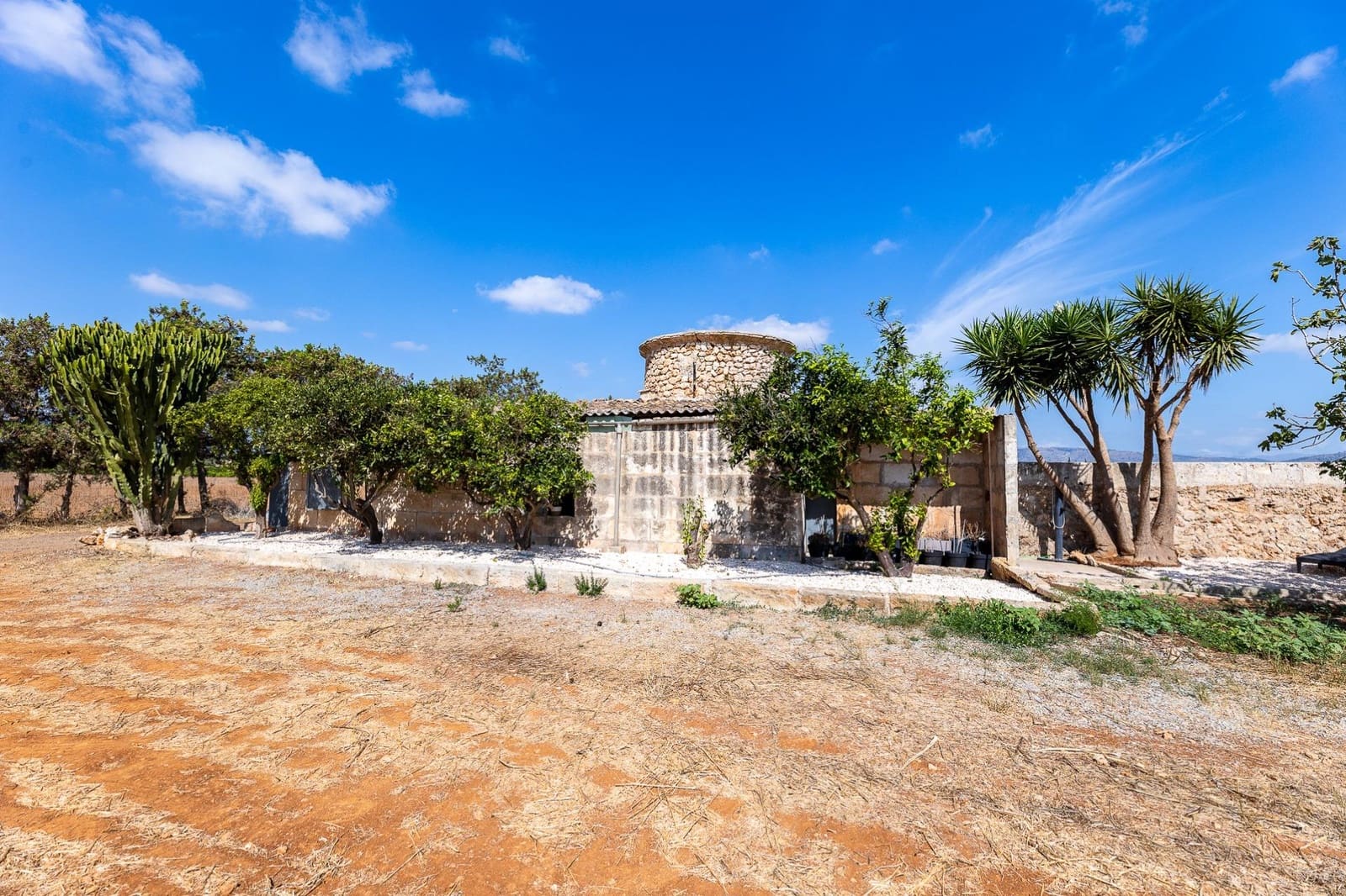 Commercial for sale in Muro - € 480,000 (Ref: 10013337)
