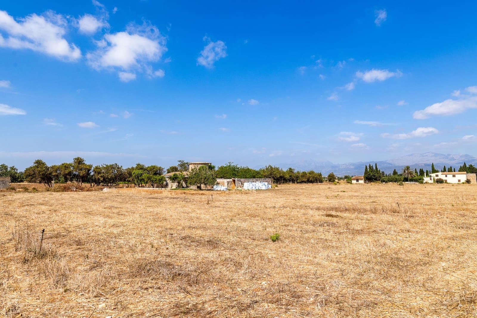 Commercial for sale in Muro - € 480,000 (Ref: 10013337)