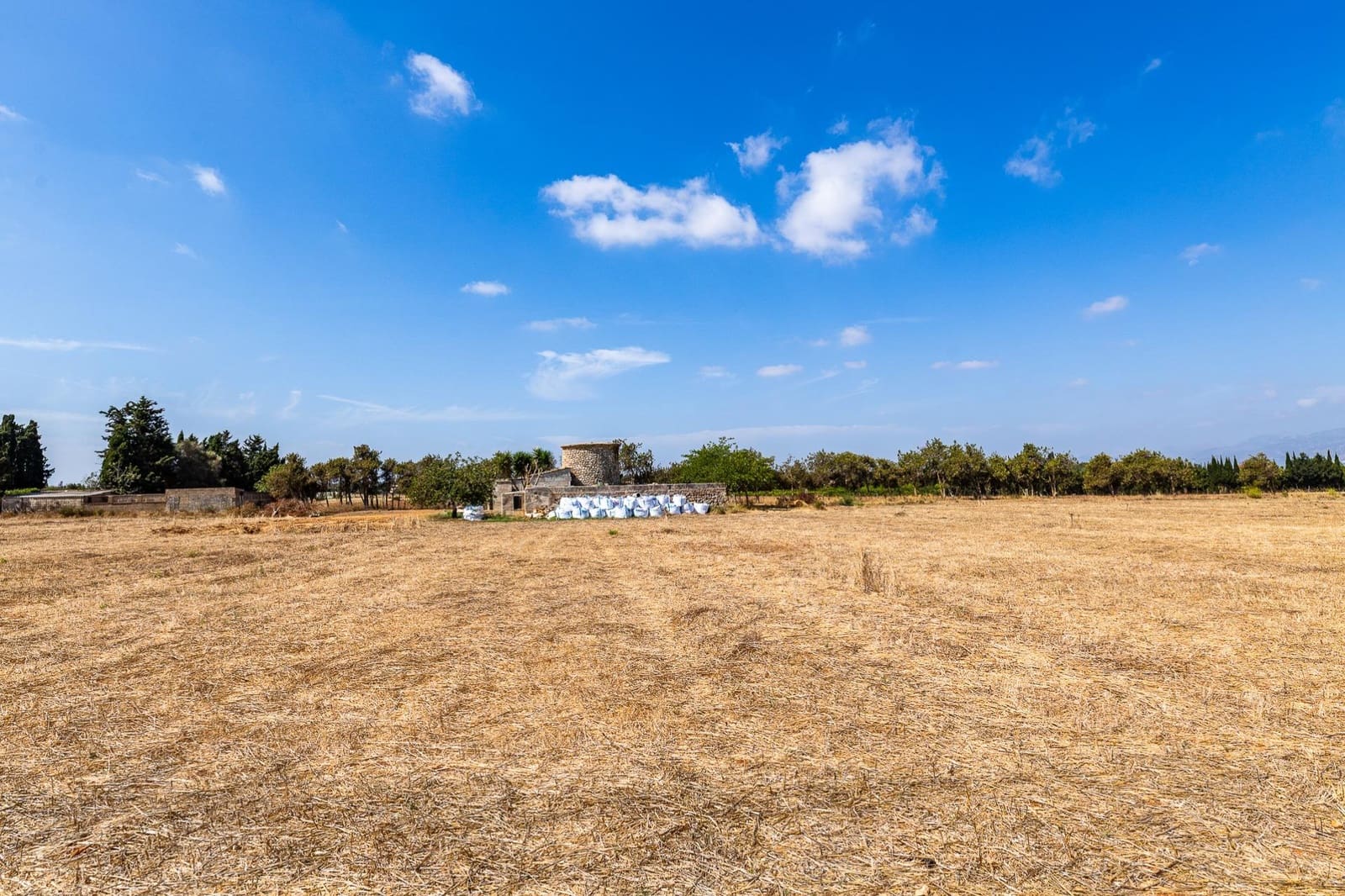 Commercial for sale in Muro - € 480,000 (Ref: 10013337)