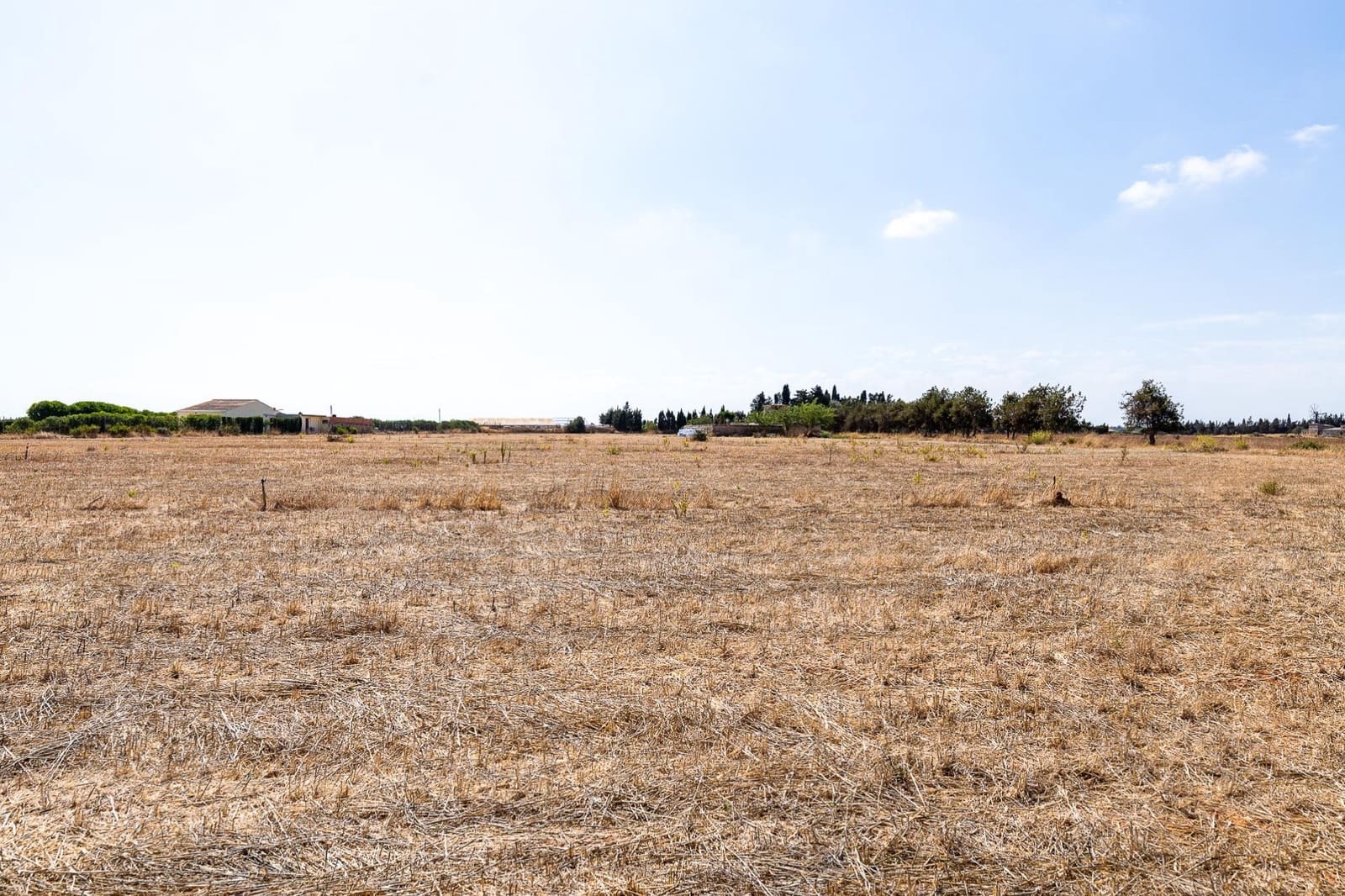Commercial for sale in Muro - € 480,000 (Ref: 10013337)