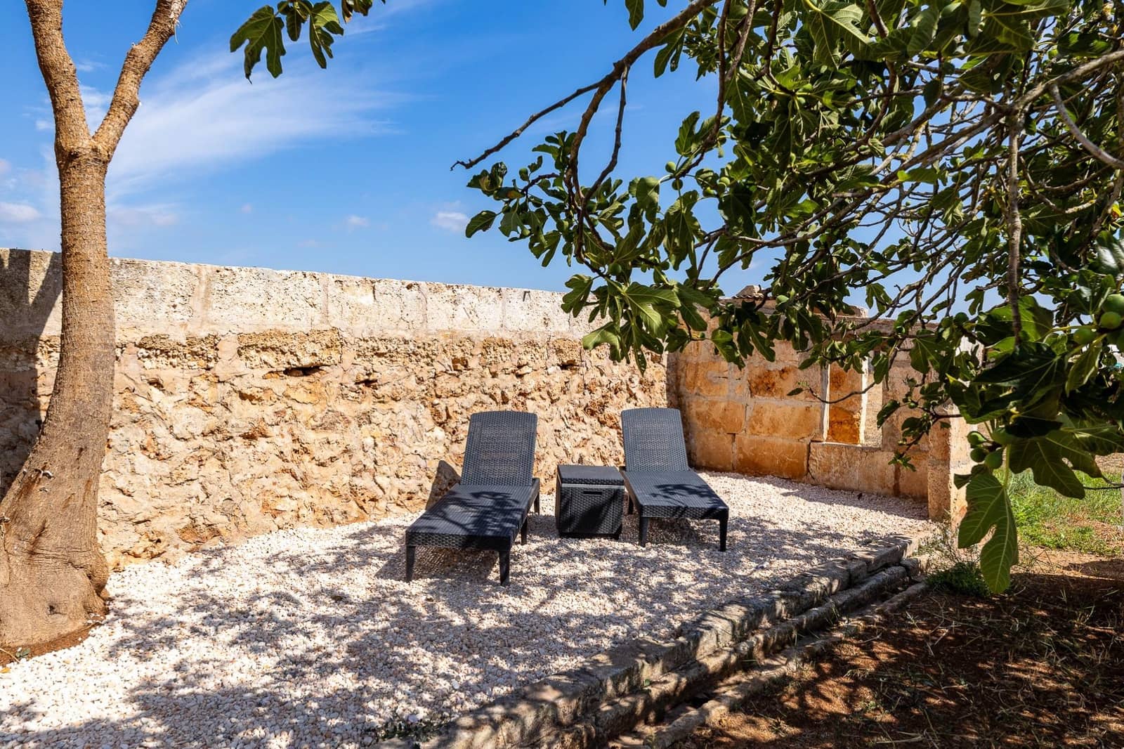 Commercial for sale in Muro - € 480,000 (Ref: 10013337)
