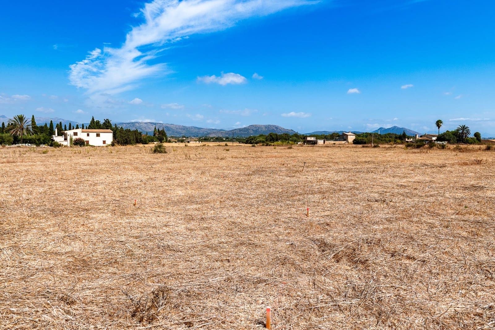 Commercial for sale in Muro - € 480,000 (Ref: 10013337)