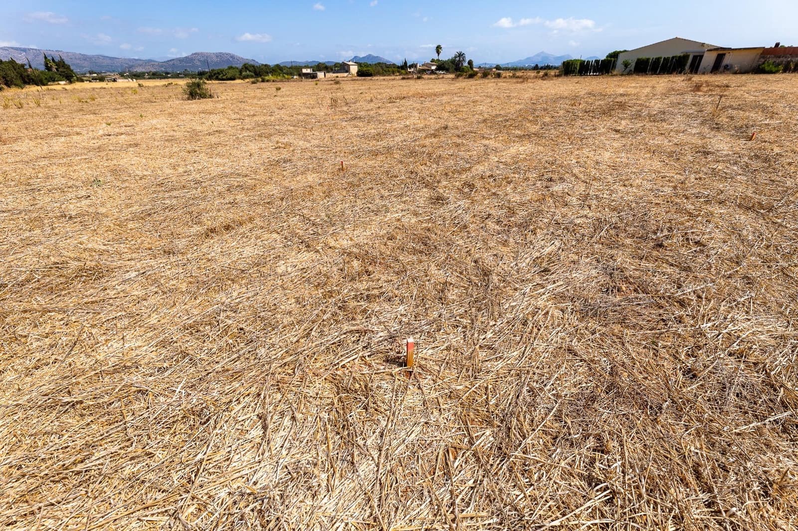 Commercial for sale in Muro - € 480,000 (Ref: 10013337)