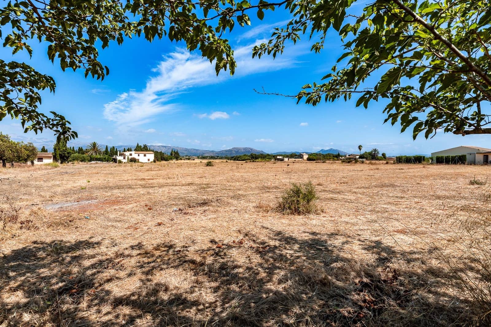 Commercial for sale in Muro - € 480,000 (Ref: 10013337)