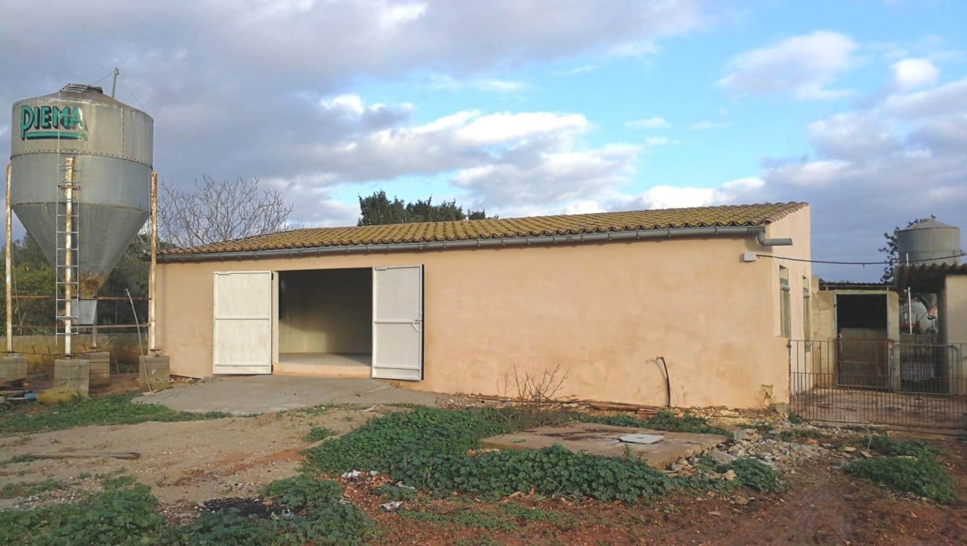 Kommersiell til leie i Marratxi - € 450 (Ref: 10094626)