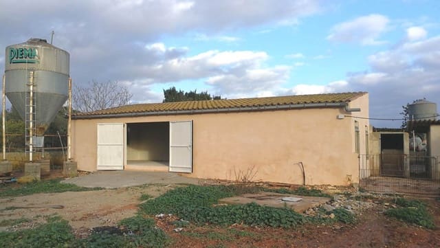 Local Commercial à louer à Marratxí - 450 € (Ref: 10094626)