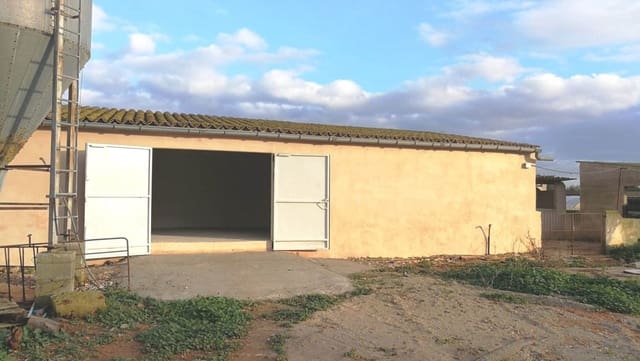 Local Commercial à louer à Marratxí - 450 € (Ref: 10094626)