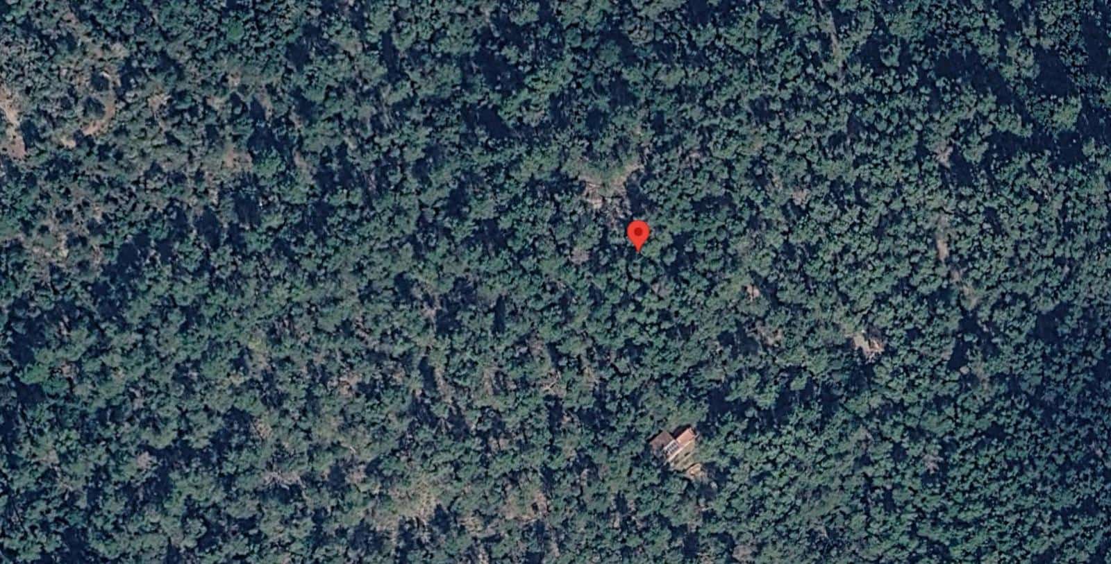 Ubebygd land til salgs i Puigpunyent - € 42 000 (Ref: 10161514)