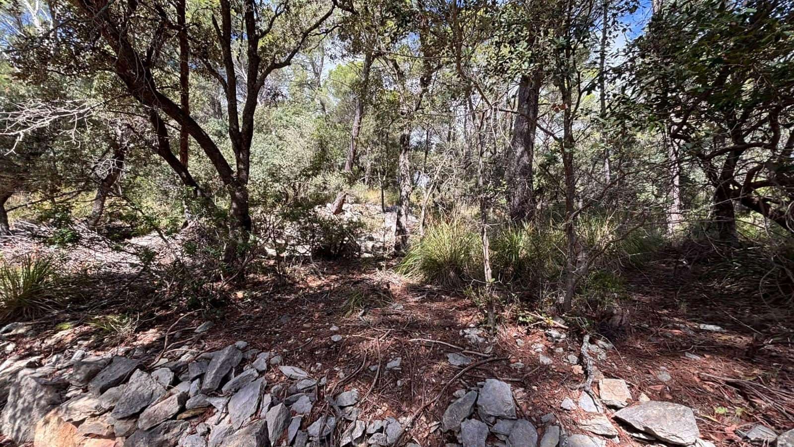 Ubebygd land til salgs i Puigpunyent - € 42 000 (Ref: 10161514)