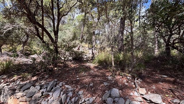 Ubebygd land til salgs i Puigpunyent - € 42 000 (Ref: 10161514)