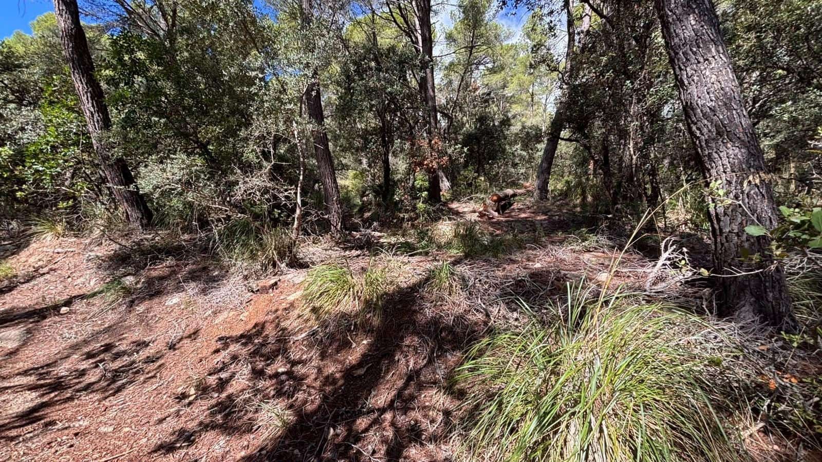 Ubebygd land til salgs i Puigpunyent - € 42 000 (Ref: 10161514)