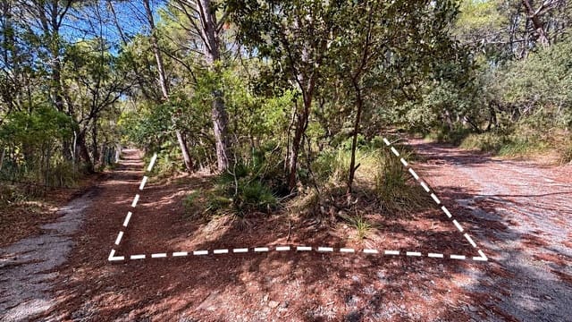 Ubebygd land til salgs i Puigpunyent - € 42 000 (Ref: 10161514)