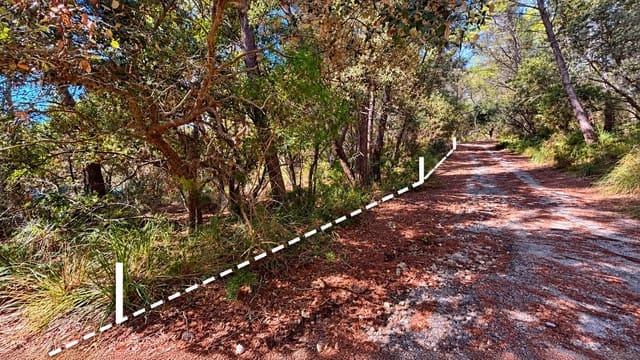 Ubebygd land til salgs i Puigpunyent - € 42 000 (Ref: 10161514)