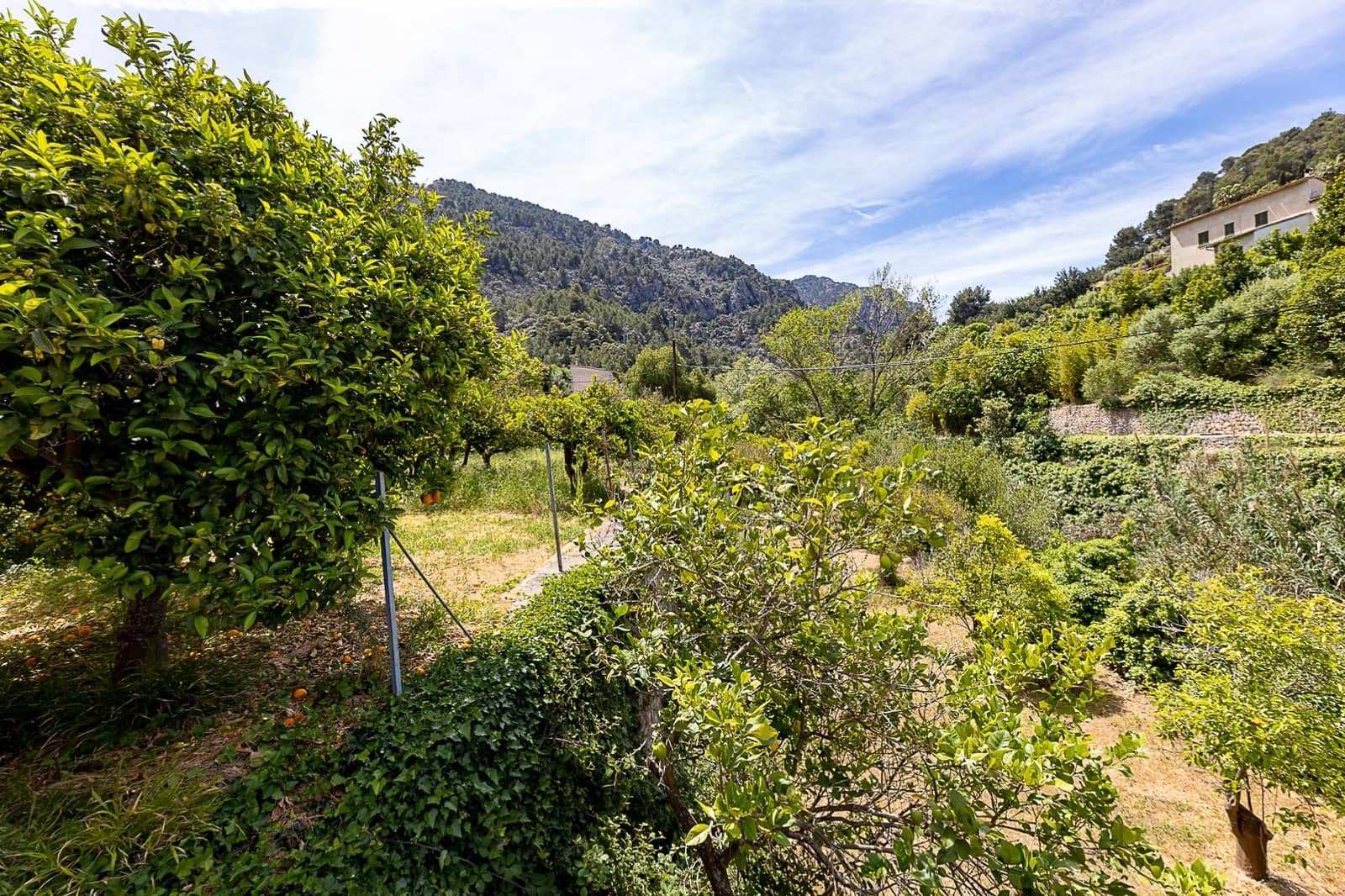 5 soveværelse Finca/Landehus til salg i Soller - € 790.000 (Ref: 7555619)
