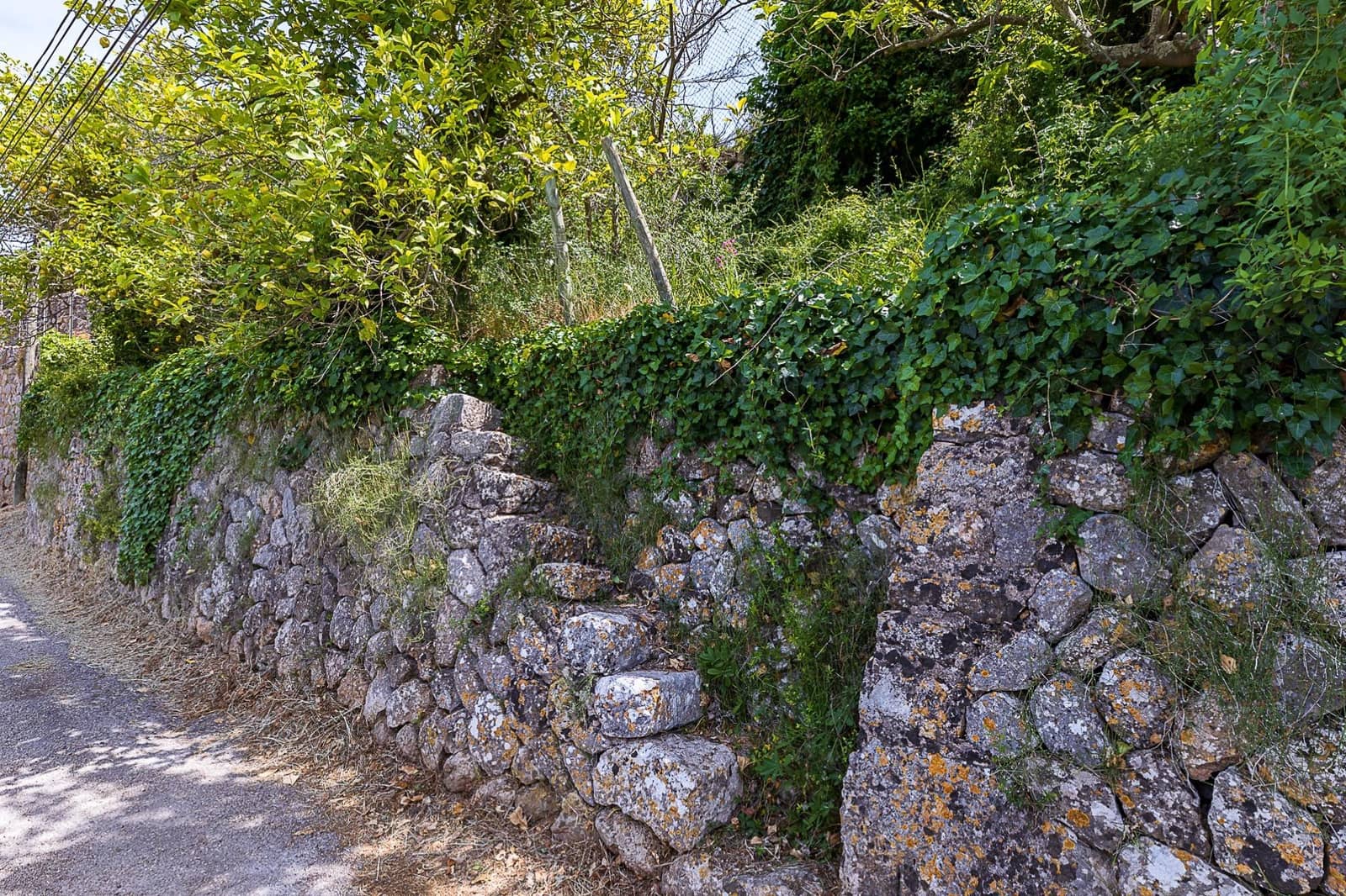 Finca/Casa Rural de 5 habitaciones en Sóller en venta - 756.000 € (Ref: 7555619)