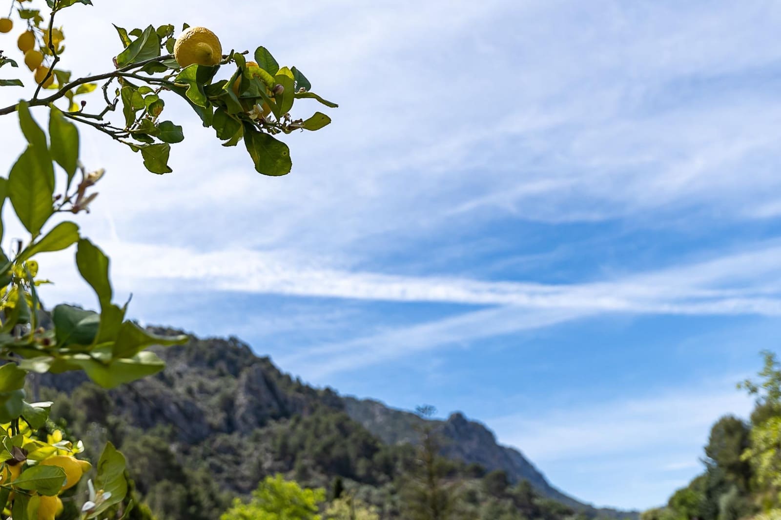 5 soverom Finca/Herregård til salgs i Soller - € 850 000 (Ref: 7555619)