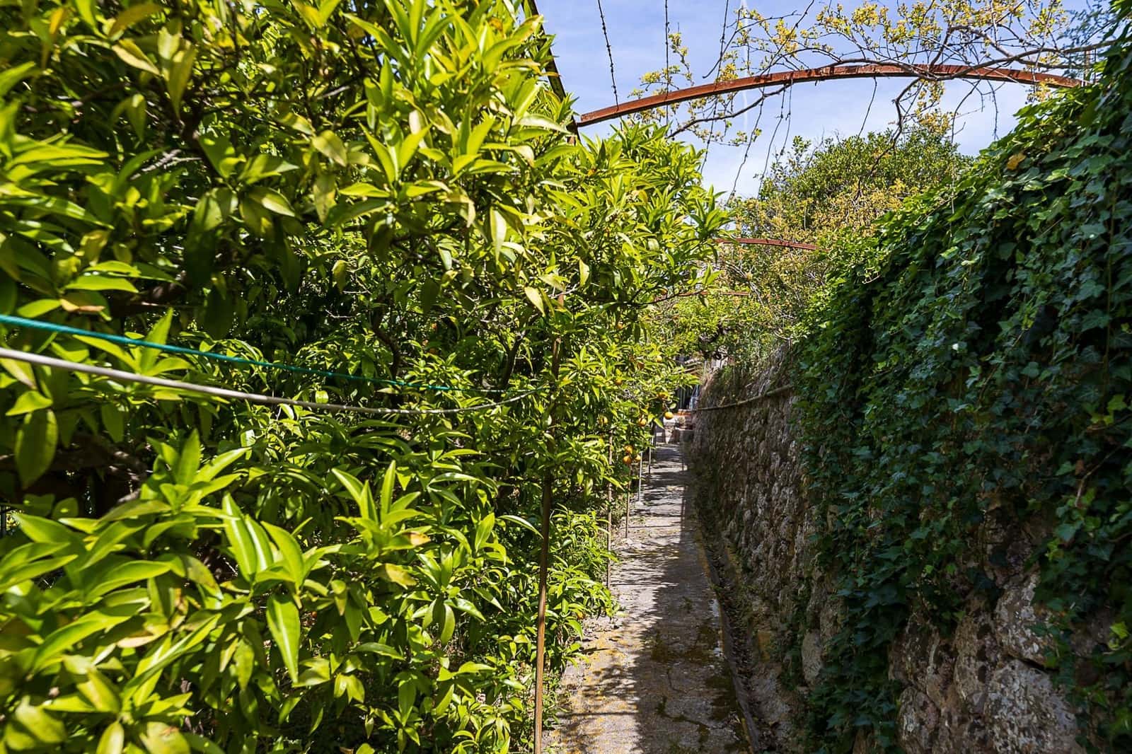 5 soverom Finca/Herregård til salgs i Soller - € 850 000 (Ref: 7555619)