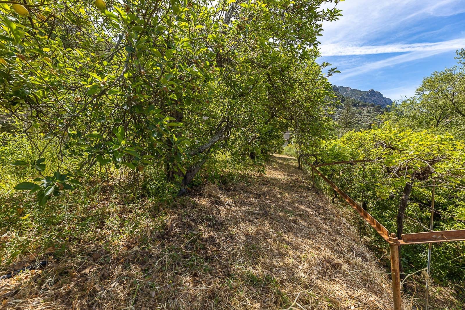 5 soverom Finca/Herregård til salgs i Soller - € 850 000 (Ref: 7555619)