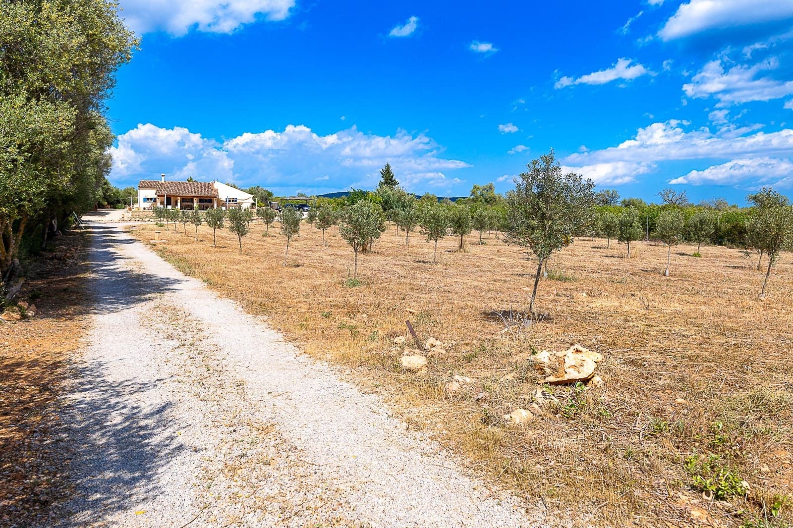 3 sypialnia Finka/Dom wiejski na sprzedaż w Llucmajor z garażem - 840 000 € (Ref: 7576314)