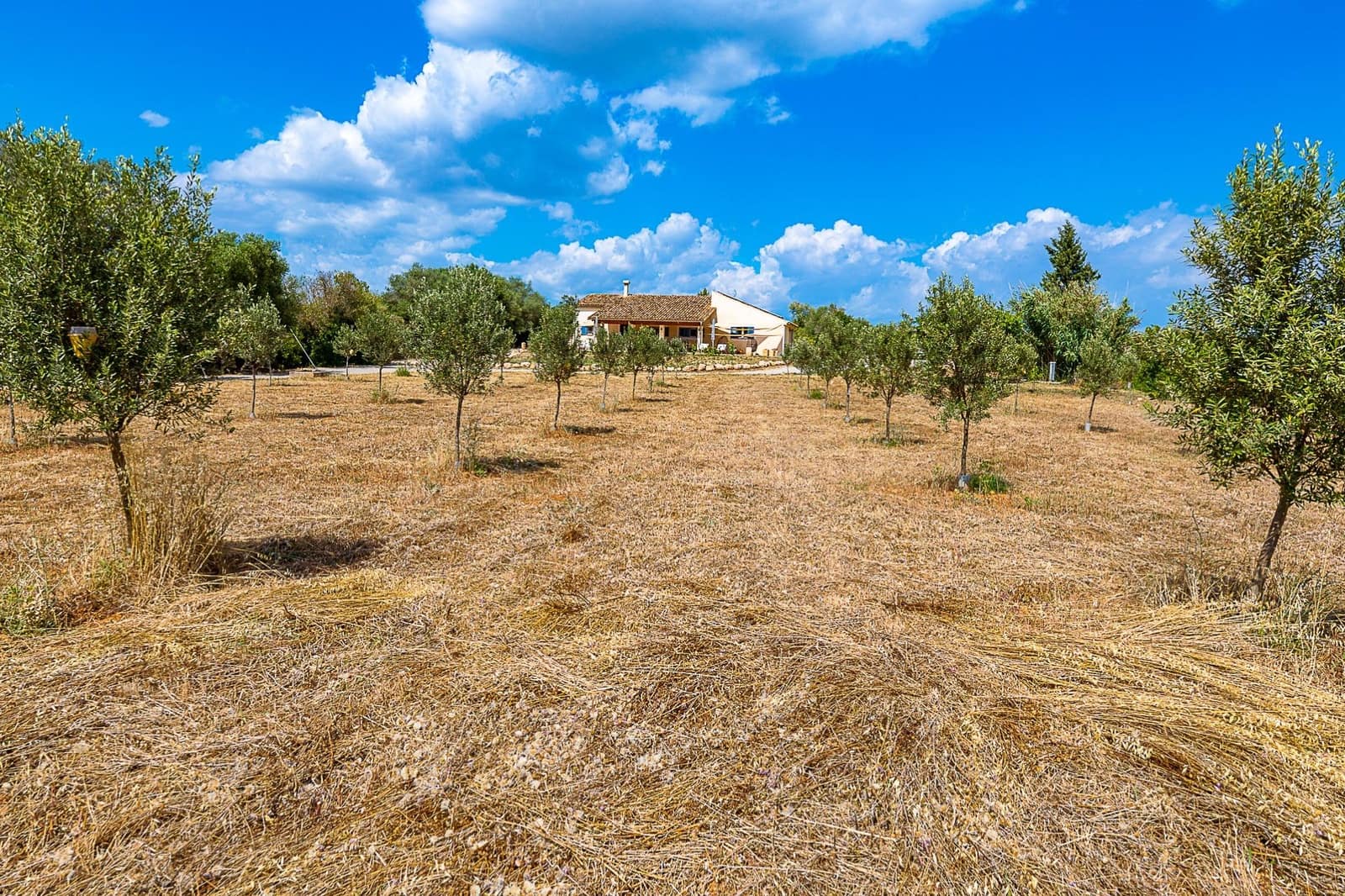 3 sypialnia Finka/Dom wiejski na sprzedaż w Llucmajor z garażem - 840 000 € (Ref: 7576314)