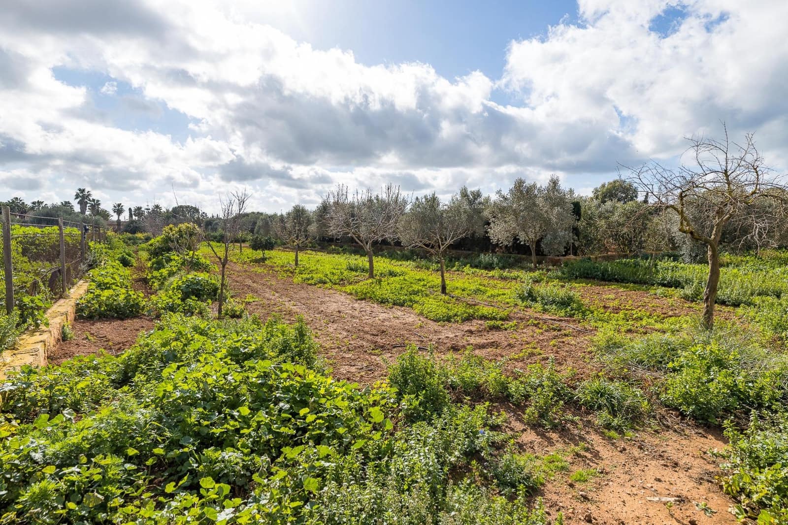 1 soverom Finca/Herregård til salgs i Campos - € 295 000 (Ref: 8936857)