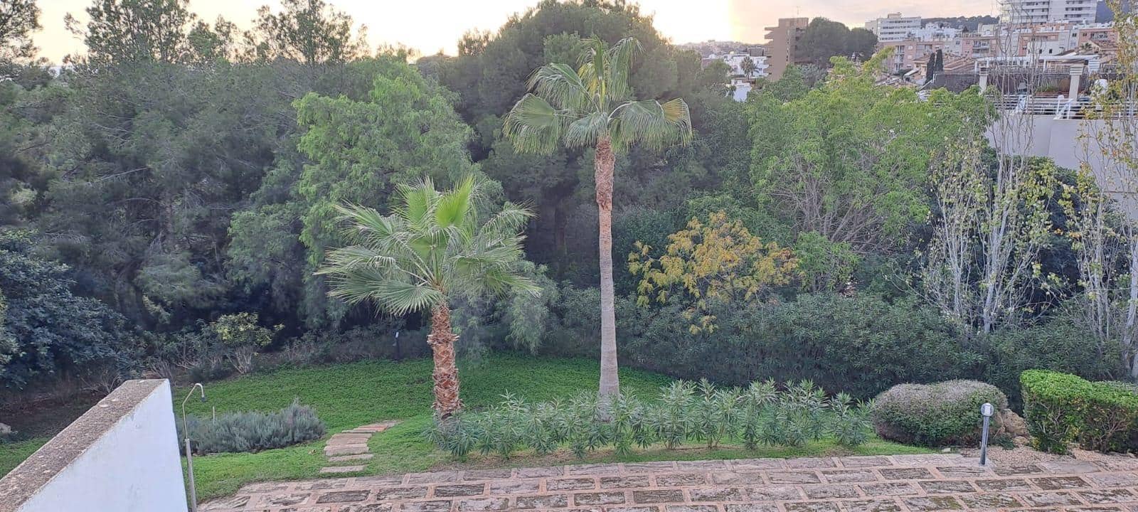 2 soverom Leilighet til leie i Palma de Mallorca med svømmebasseng - € 1 950 (Ref: 9449011)