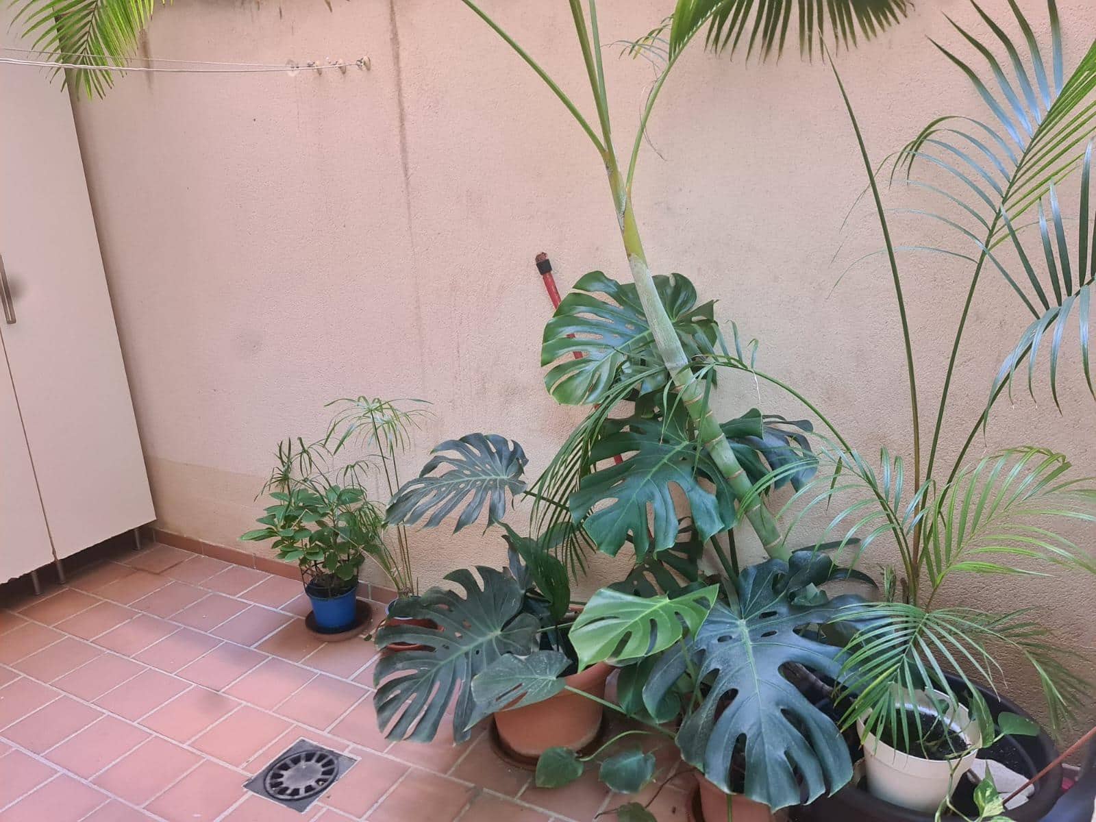 Piso de 2 habitaciones en Palma de Mallorca en alquiler - 1.300 € (Ref: 9508813)